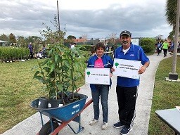 Arbor Day Donation